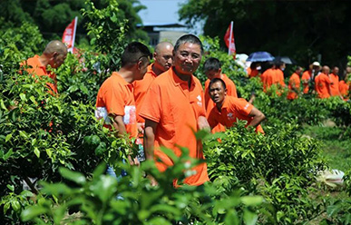 震驚：50元買一只紅蜘蛛？!——這一次，果農(nóng)們有話要說