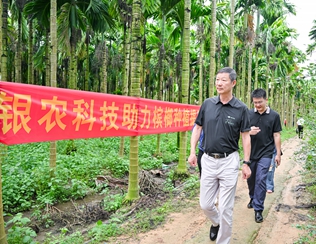 不斷創(chuàng)新納米農(nóng)藥，“銀農(nóng)三寶”助力檳榔提質(zhì)增收